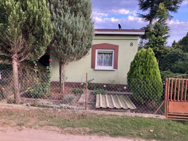 Działka rod Głowno. Zdjęcie 1