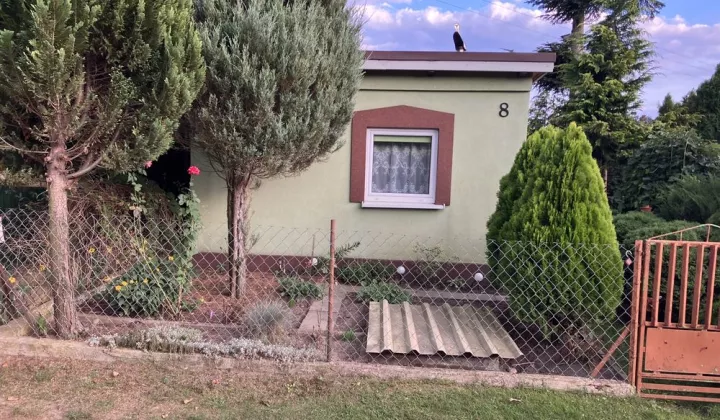 Działka rod Głowno