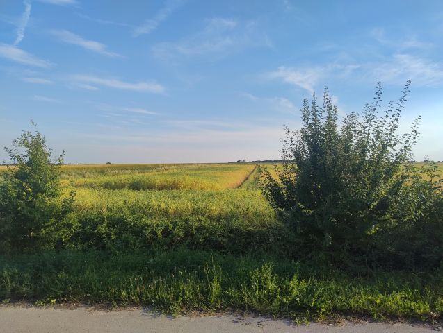 Działka rolno-budowlana Nagłowice, ul. Lipowa. Zdjęcie 1