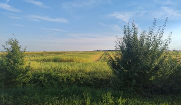 Działka rolno-budowlana Nagłowice, ul. Lipowa