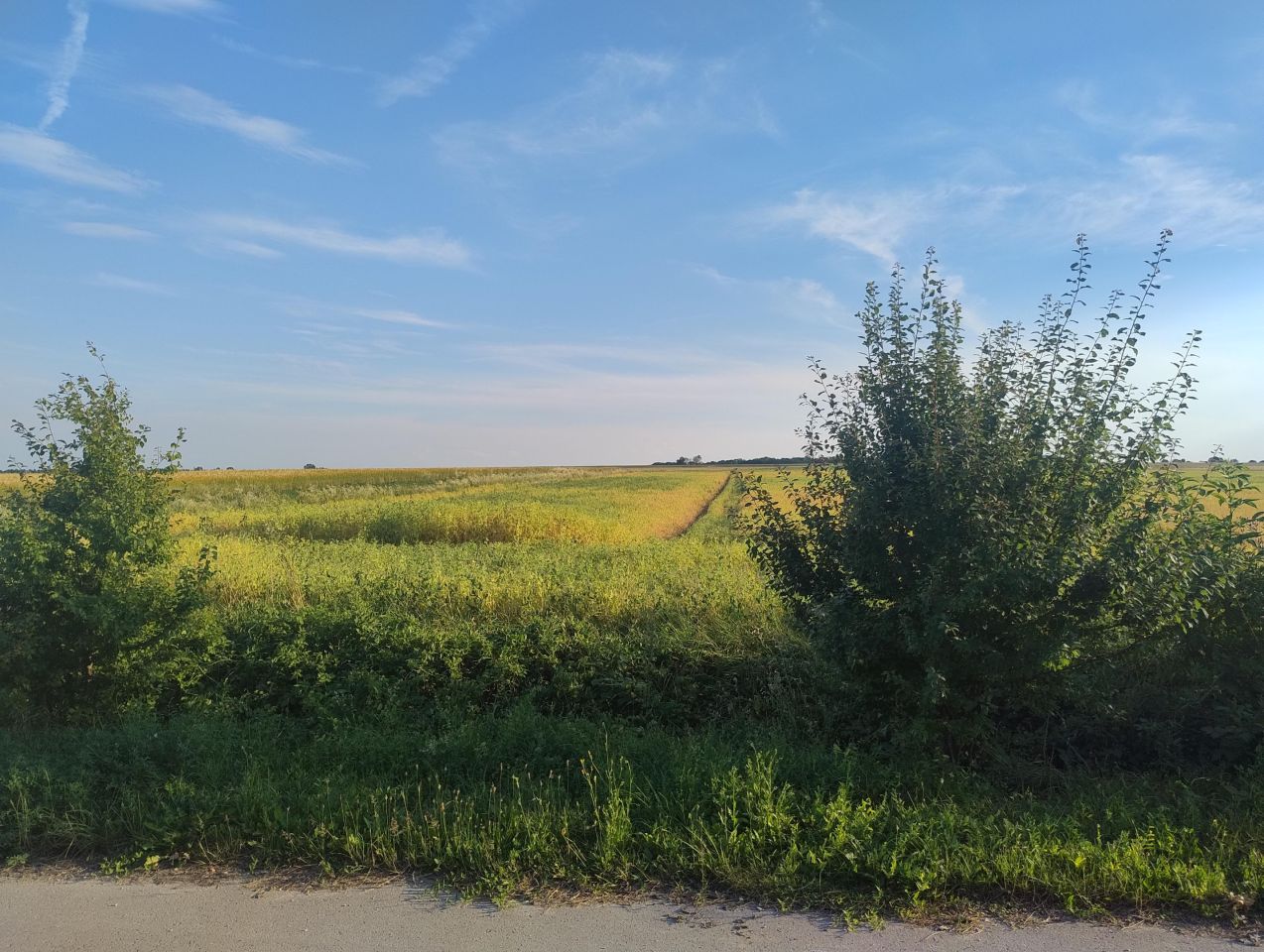 Działka rolno-budowlana Nagłowice, ul. Lipowa