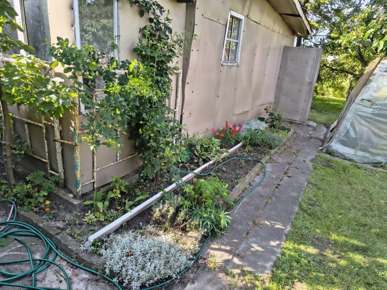 Działka rod Gdańsk Piecki, ul. Gronostajowa. Zdjęcie 5