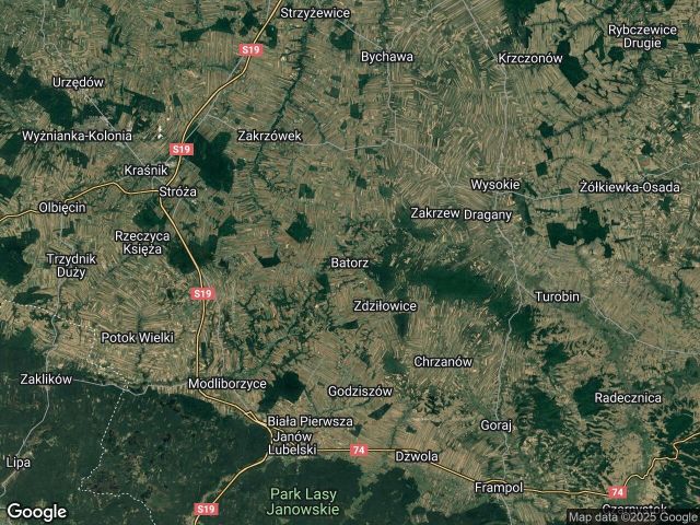 Działka leśna Batorz Batorz-Kolonia. Zdjęcie 1