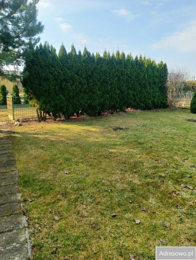 Działka rod Kutno, ul. Grunwaldzka. Zdjęcie 4