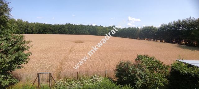 siedlisko, 3 pokoje Budy Wolskie. Zdjęcie 11