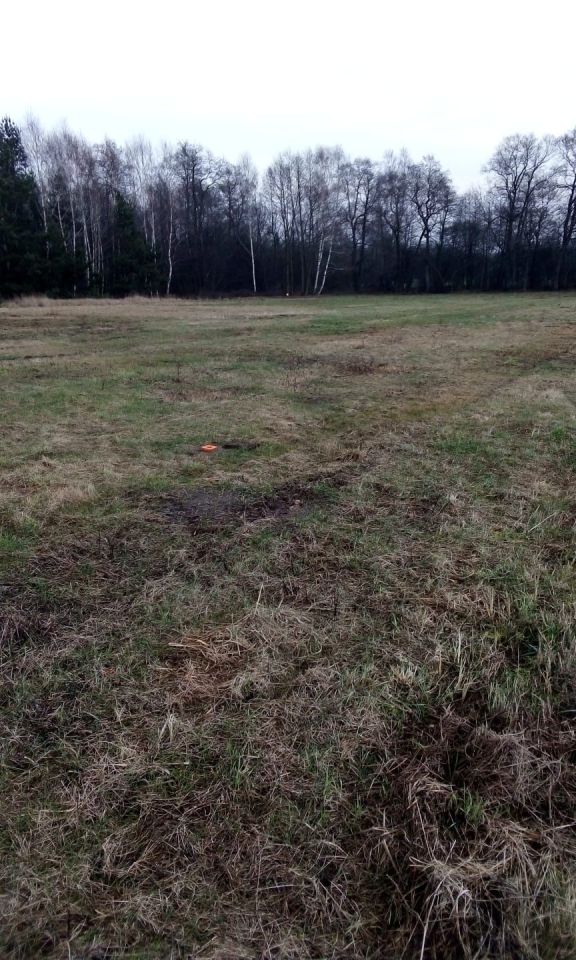 Działka budowlana Rosocha-Kolonia. Zdjęcie 3