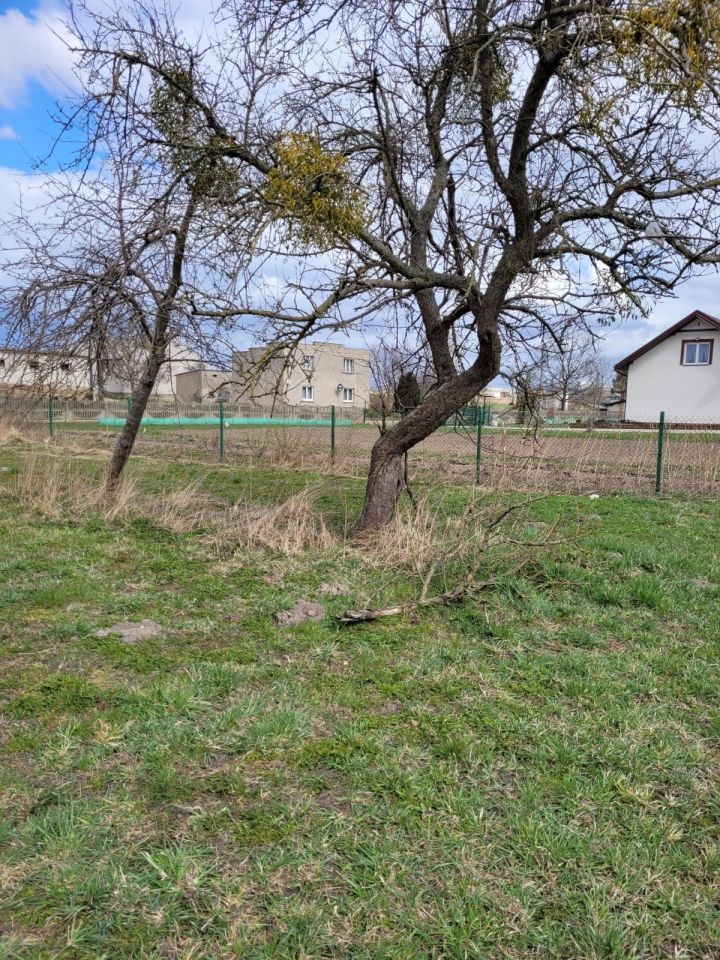 Działka budowlana Skarlin. Zdjęcie 4