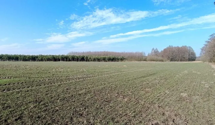 Działka rolno-budowlana Piaseczno