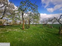 dom wolnostojący, 3 pokoje Jaromierz. Zdjęcie 4