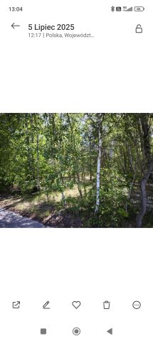 Działka rolno-budowlana Klęk. Zdjęcie 1