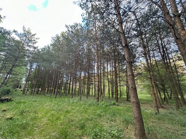 dom wolnostojący, 4 pokoje Wierzchownia. Zdjęcie 6