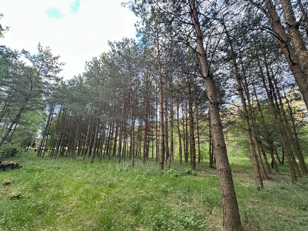 dom wolnostojący, 4 pokoje Wierzchownia. Zdjęcie 6