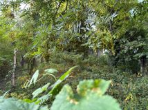 Działka budowlana Warszawa Ursynów, ul. Arbuzowa. Zdjęcie 1