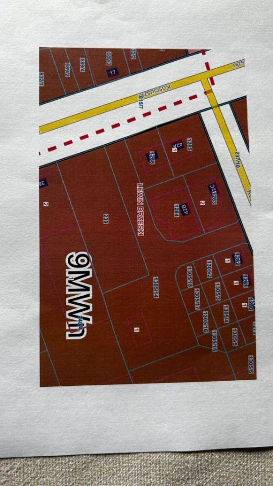 Lokal Lewin Brzeski. Zdjęcie 8