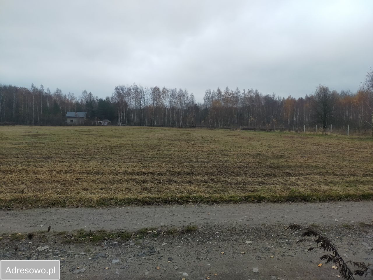 Działka rolno-budowlana Mokra Wieś. Zdjęcie 13