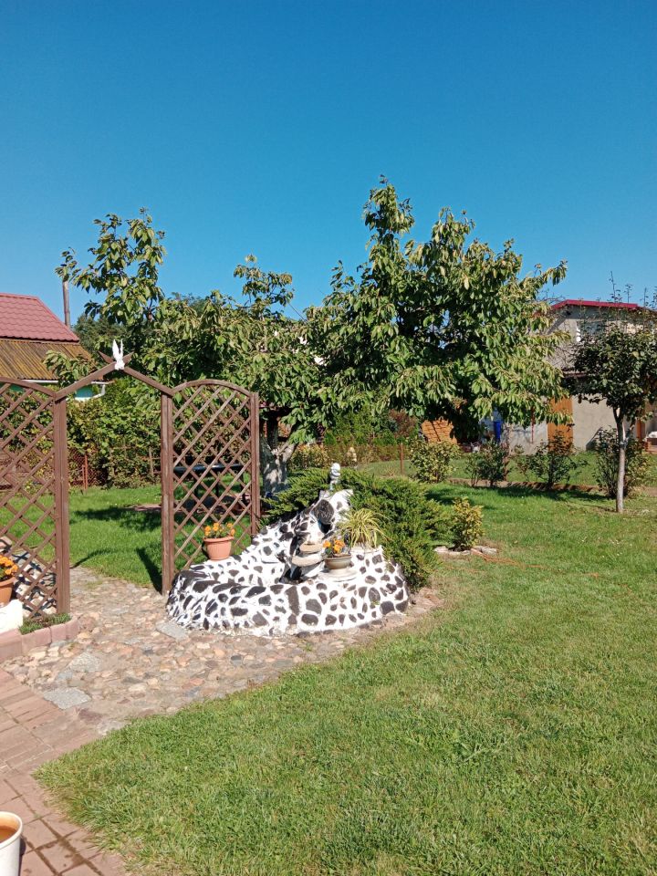 Działka rod Klucze, Stokrotka. Zdjęcie 5