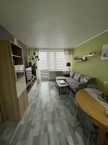 Mieszkanie 2-pokojowe Włocławek Południe , ul. Dziewińska. Zdjęcie 1