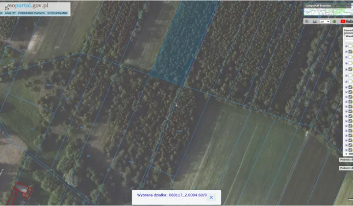 Działka leśna Dąbrowica Duża Dubrowskie