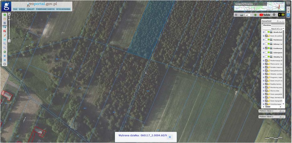 Działka leśna Dąbrowica Duża Dubrowskie