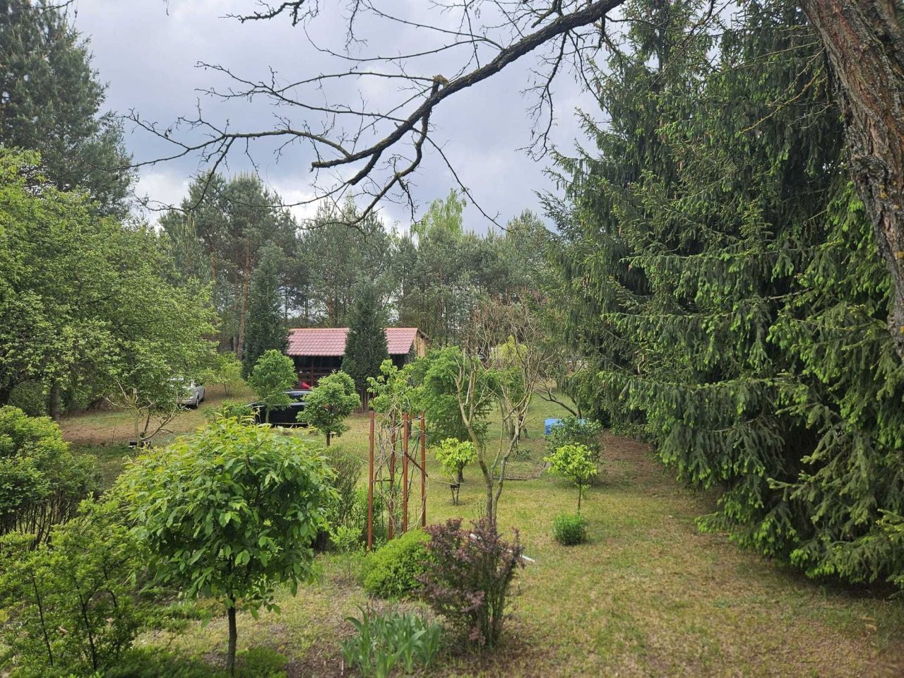 Działka rekreacyjna Marianów. Zdjęcie 5