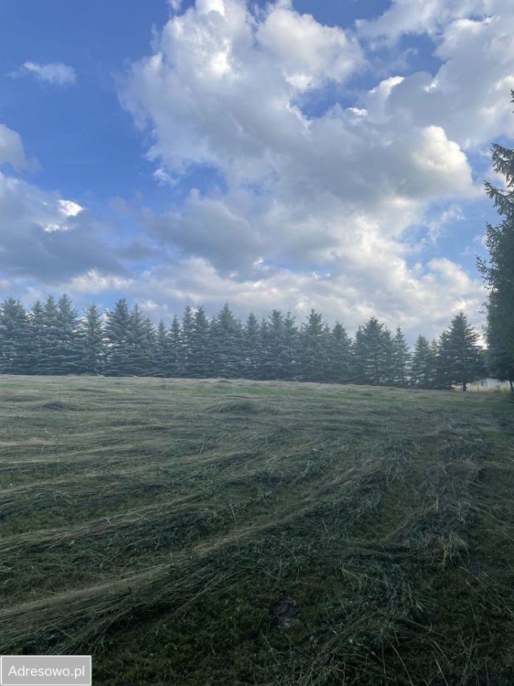 Działka budowlana Mszalnica. Zdjęcie 5