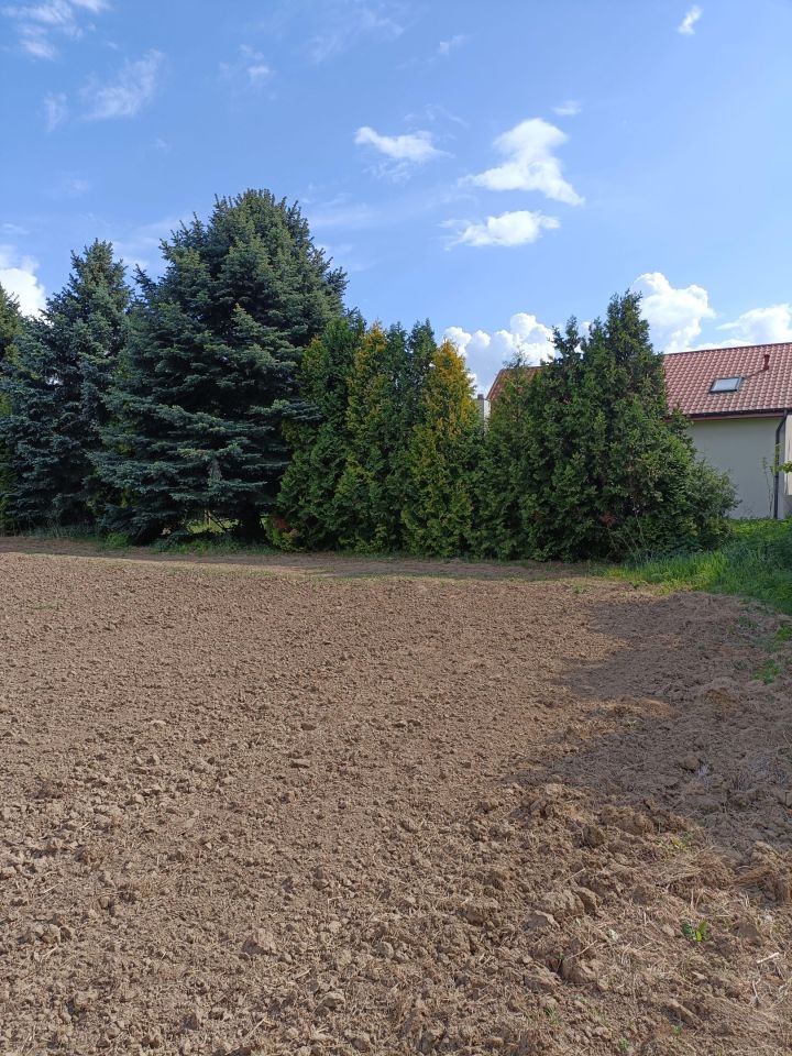 dom wolnostojący, 8 pokoi Bidziny. Zdjęcie 7