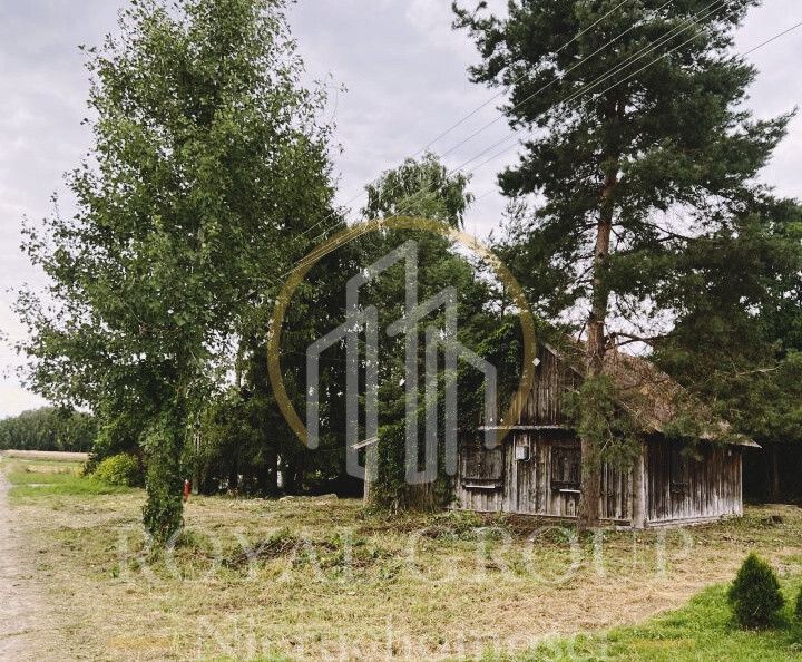 Działka siedliskowa Gołąb. Zdjęcie 4