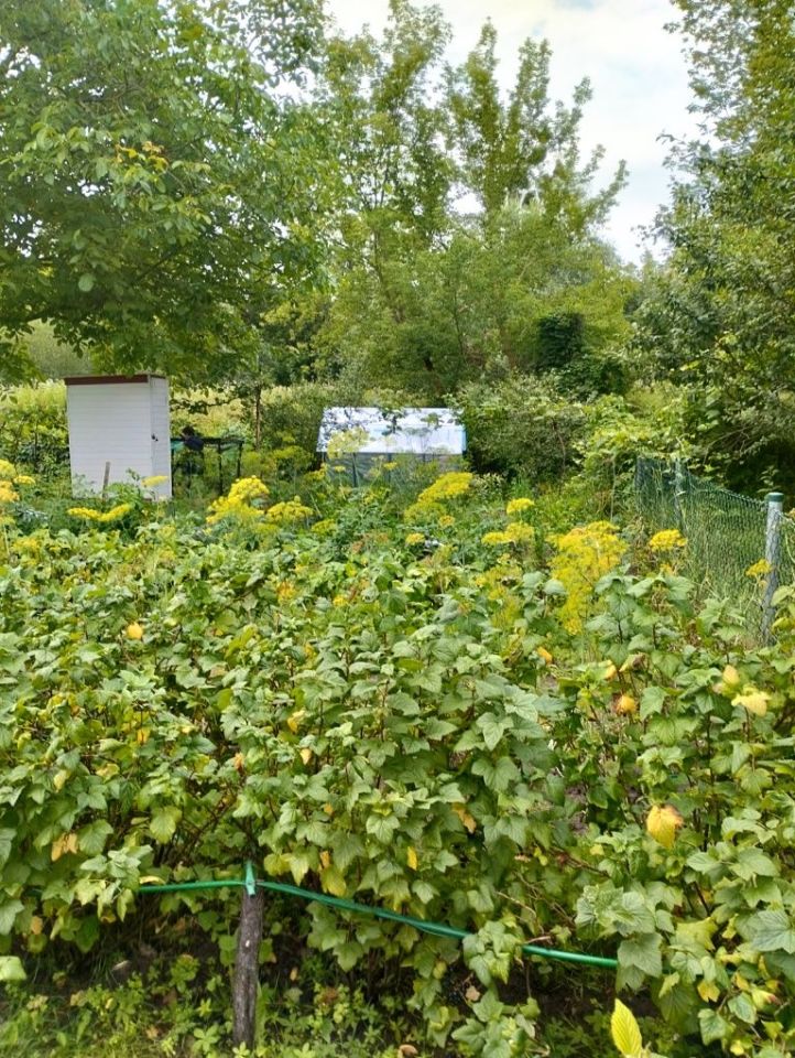 Działka rod Toruń, ul. Stanisława Przybyszewskiego. Zdjęcie 2