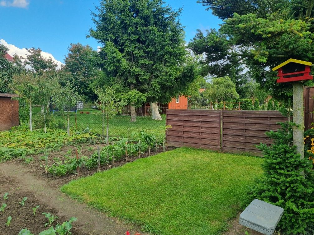 Działka rod Żagań. Zdjęcie 3