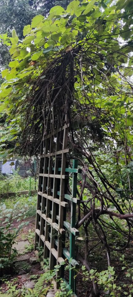 Działka rod Warszawa Mokotów. Zdjęcie 2