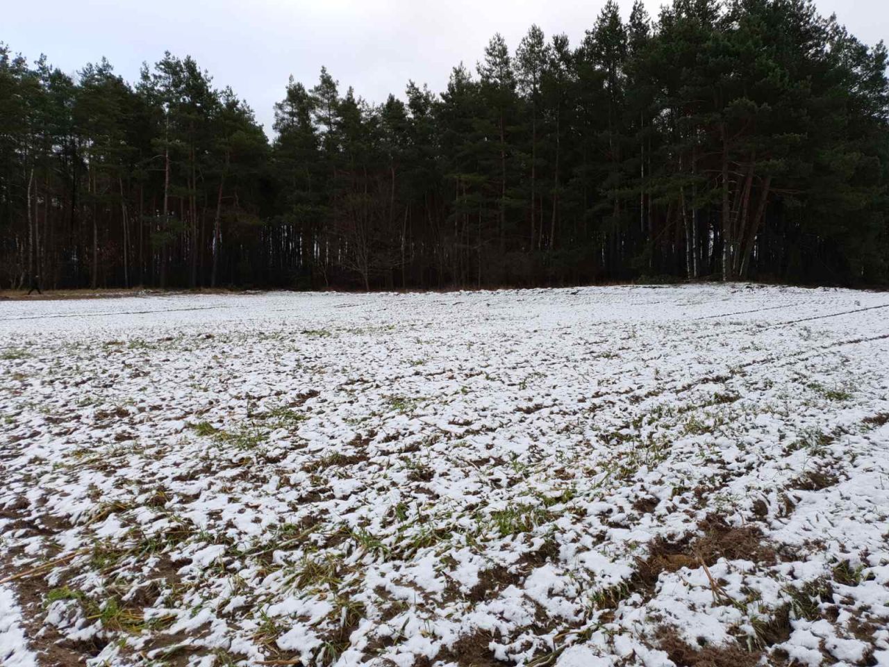 Działka budowlana Gorczeniczka. Zdjęcie 19