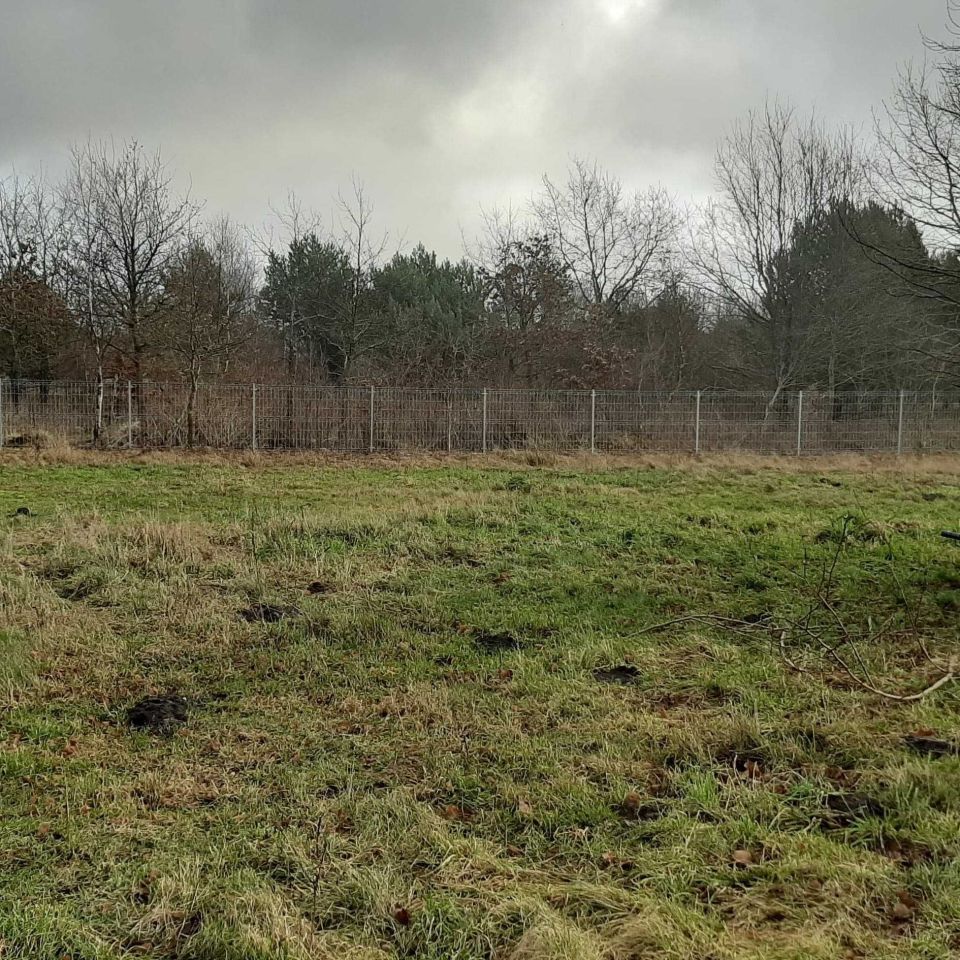 Działka inwestycyjna Smołdziński Las. Zdjęcie 6