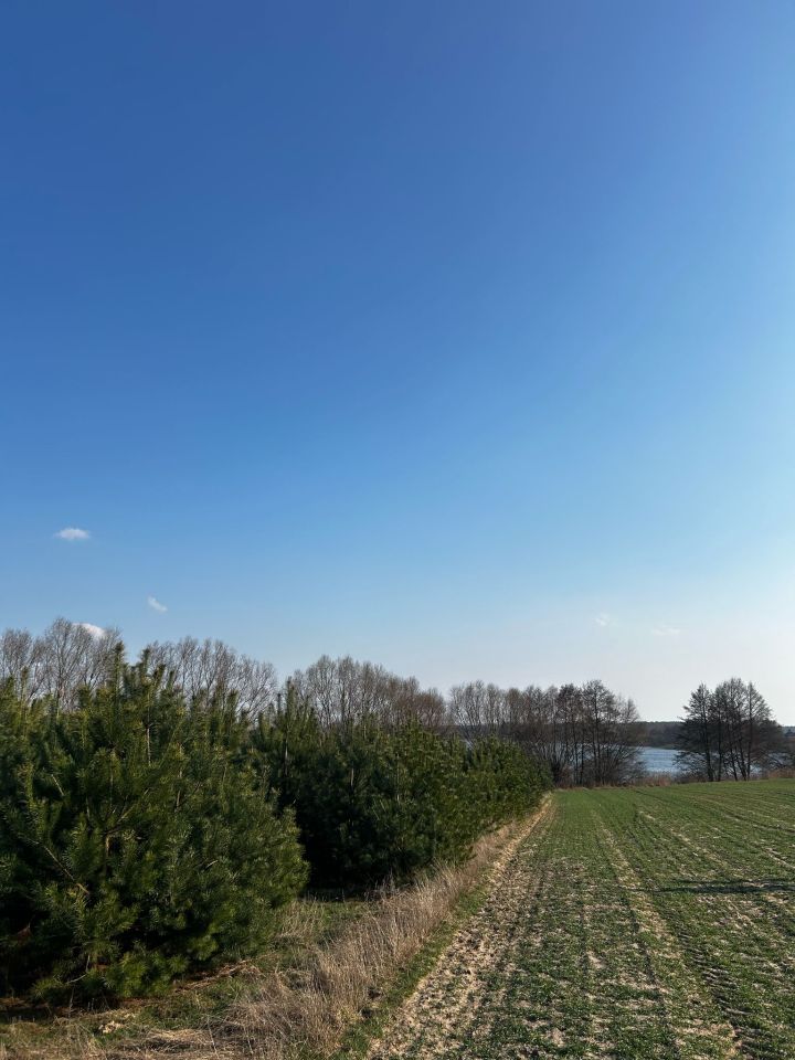 Działka rolno-budowlana Orchowo, ul. Trzemeszeńska. Zdjęcie 7