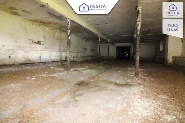 Hala/magazyn Kurcewo. Zdjęcie 8