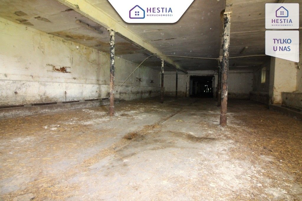 Hala/magazyn Kurcewo. Zdjęcie 8