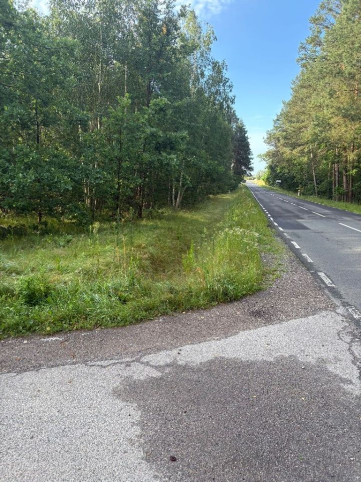 Działka budowlana Olszowe. Zdjęcie 1