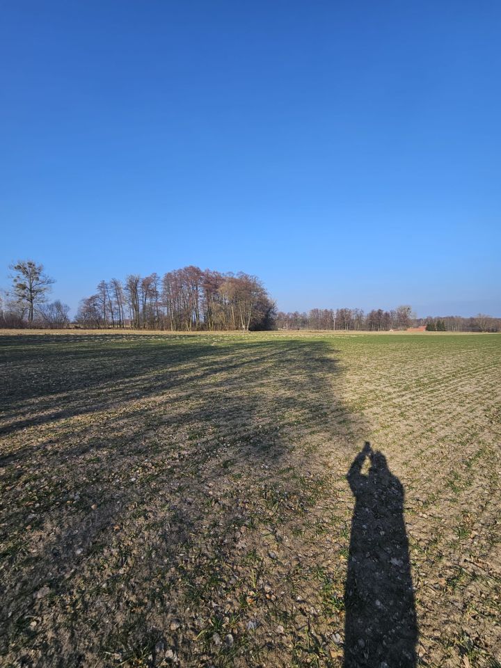 Działka budowlana Pruszkowo. Zdjęcie 8