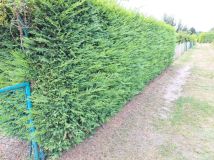 Działka rod Szczecin Gumieńce. Zdjęcie 4