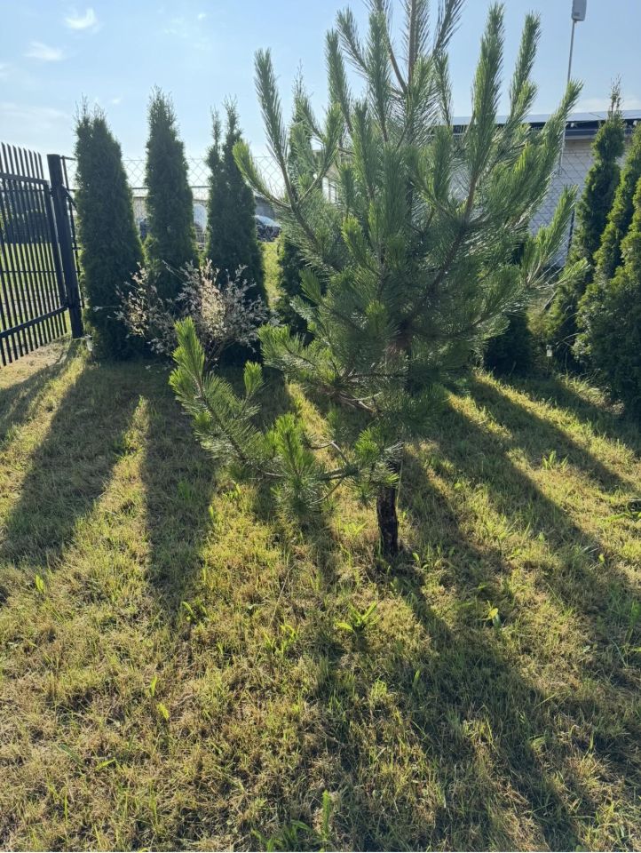 Działka rolna Ostrowo, ul. Plażowa. Zdjęcie 4