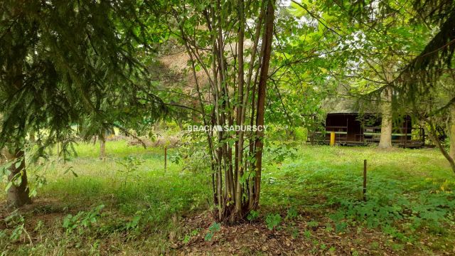 Działka rekreacyjna Lusina, ul. Przymiarki. Zdjęcie 7