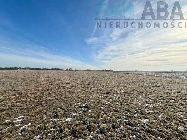 Działka budowlana Słodków. Zdjęcie 5