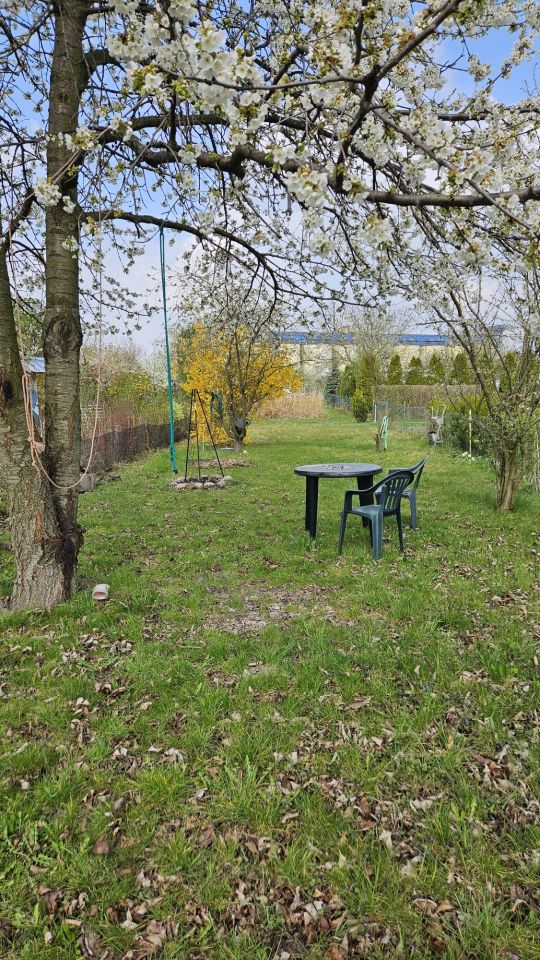 Działka rod Brzeg. Zdjęcie 3