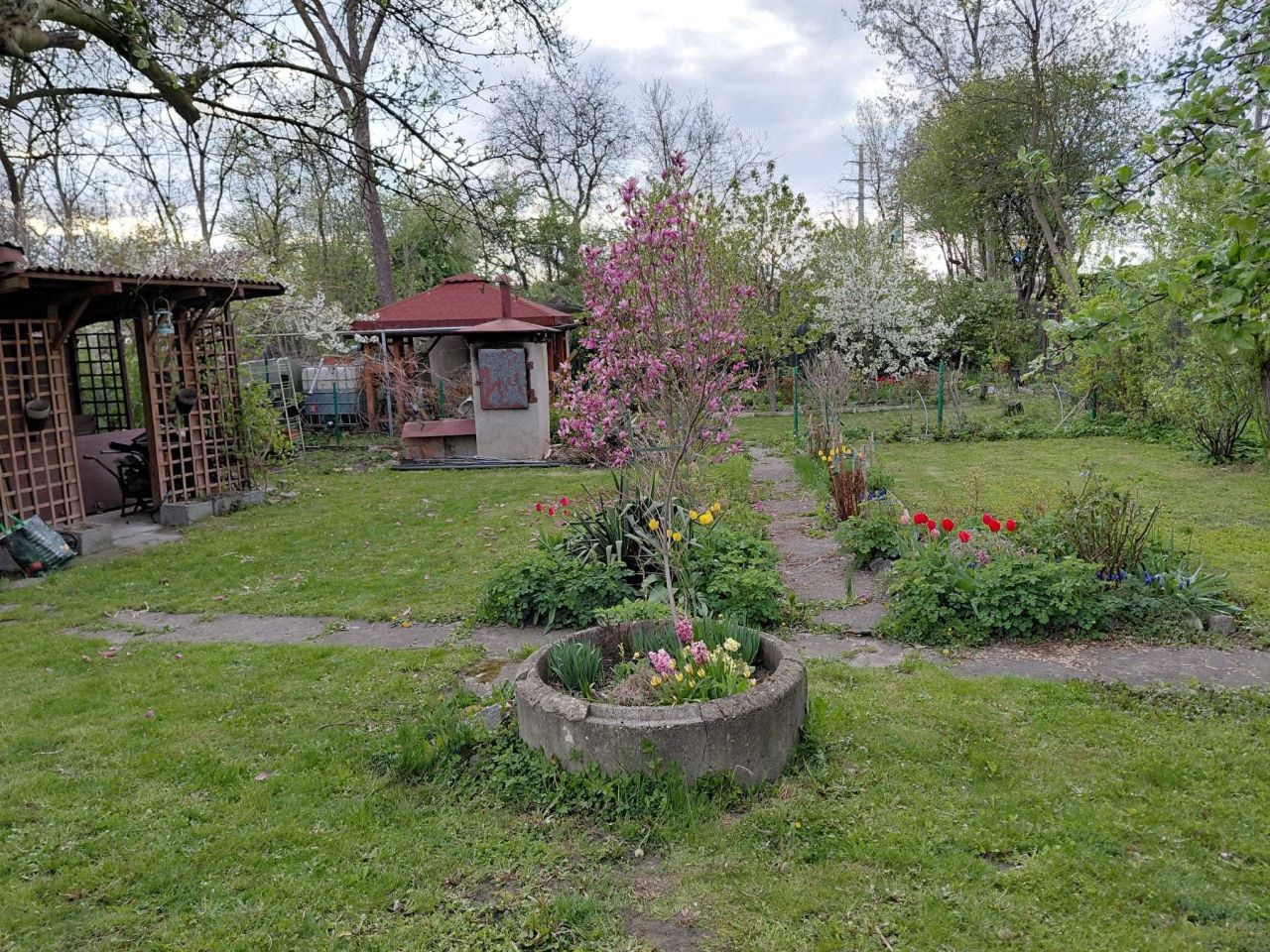 Działka rod Gliwice Śródmieście. Zdjęcie 6