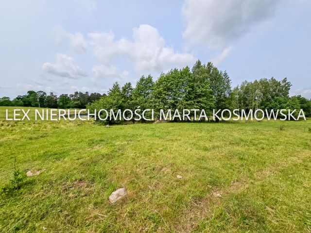 Działka rolna Wejdyki. Zdjęcie 5