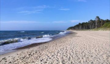 Działka rod Rusinowo