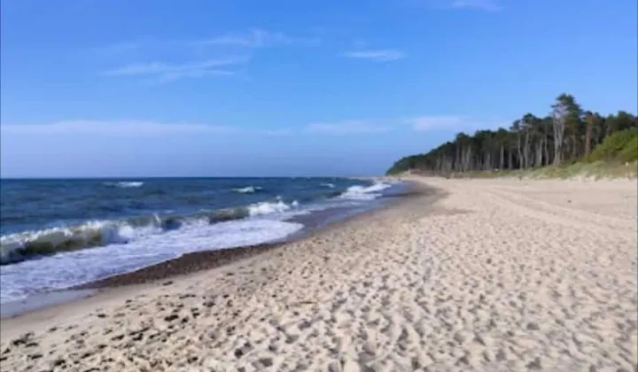 Działka rod Rusinowo