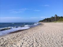 Działka rod Rusinowo