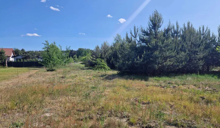 Działka budowlana Wojciechowice, ul. Lipowa