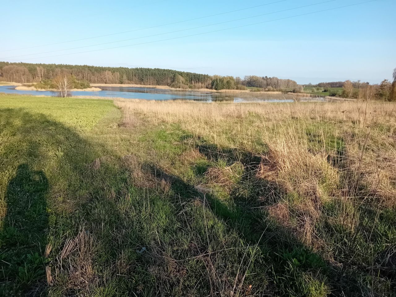 Działka budowlana Binowo. Zdjęcie 4