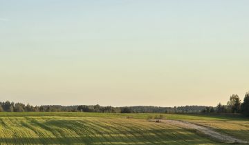 Działka budowlana Brajniki